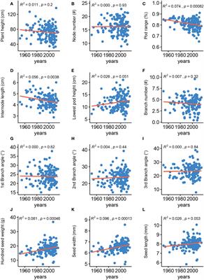 A multi-trait GWAS-based genetic association network controlling soybean architecture and seed traits